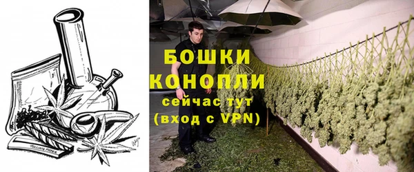 не бодяженный Рославль