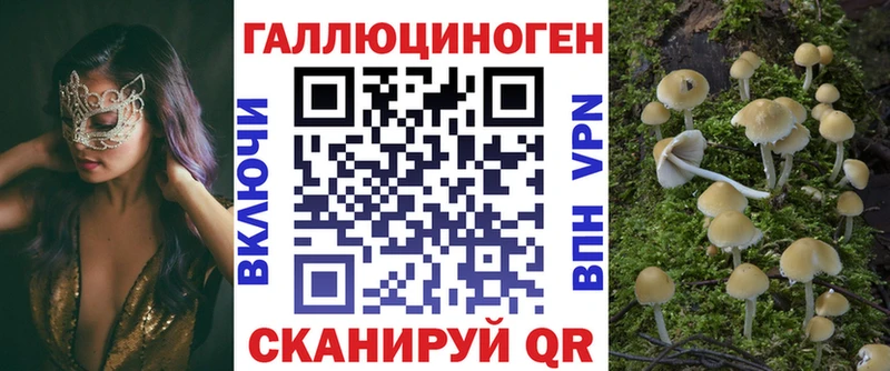 как найти Сердобск KRAKEN онион Галлюциногенные грибы прущие грибы
