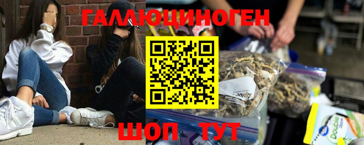 Псилоцибиновые грибы мухоморы Сердобск