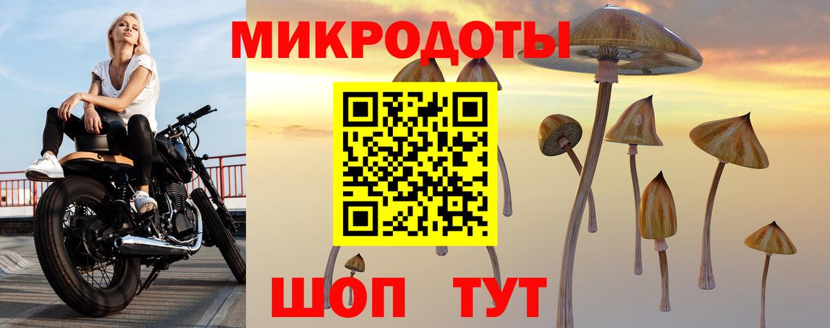 Псилоцибиновые грибы GOLDEN TEACHER  Галлюциногенные грибы Psilocybine cubensis  Сердобск  Вход с VPN 